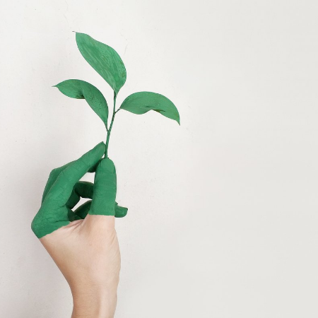 The Conscious Creative: A New Sustainability-Minded Artist Interview Series