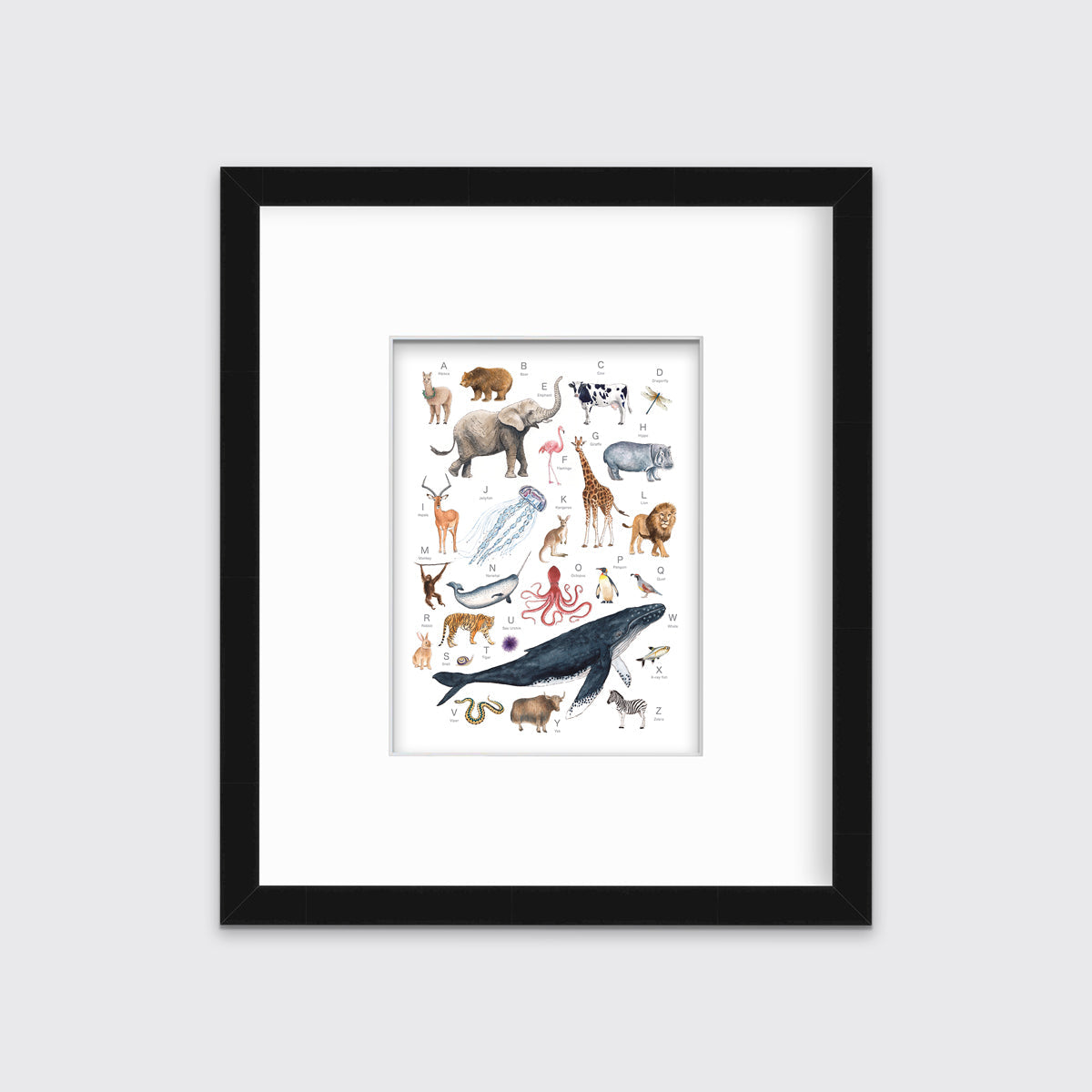A multicolored print of different animals through the alphabet in a black frame with a mat hangs on a white wall.