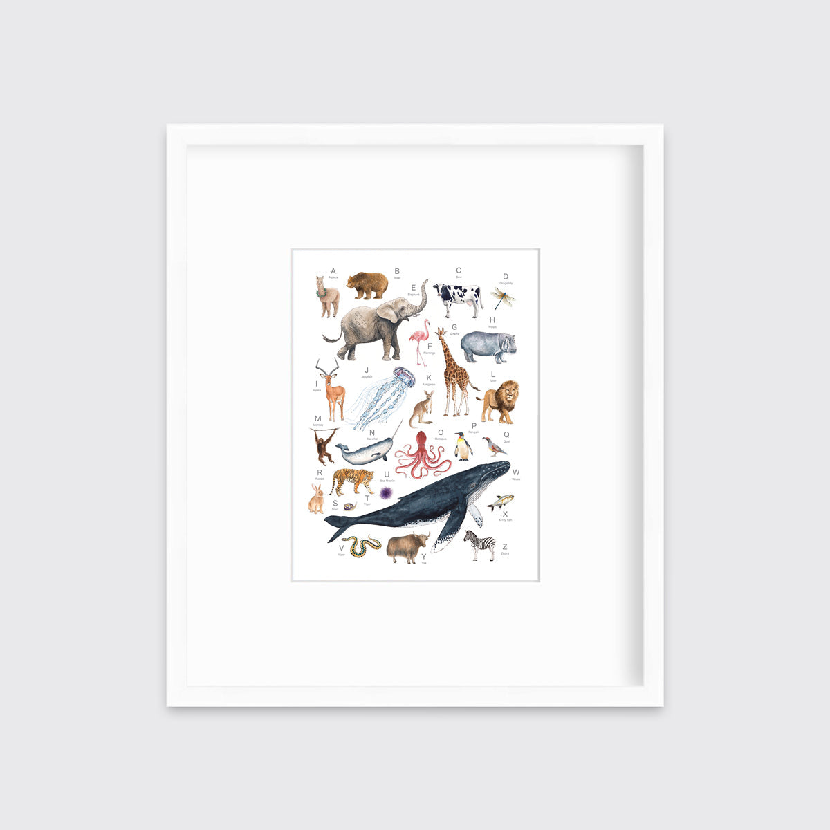 A multicolored print of different animals through the alphabet in a white frame with a mat hangs on a white wall.