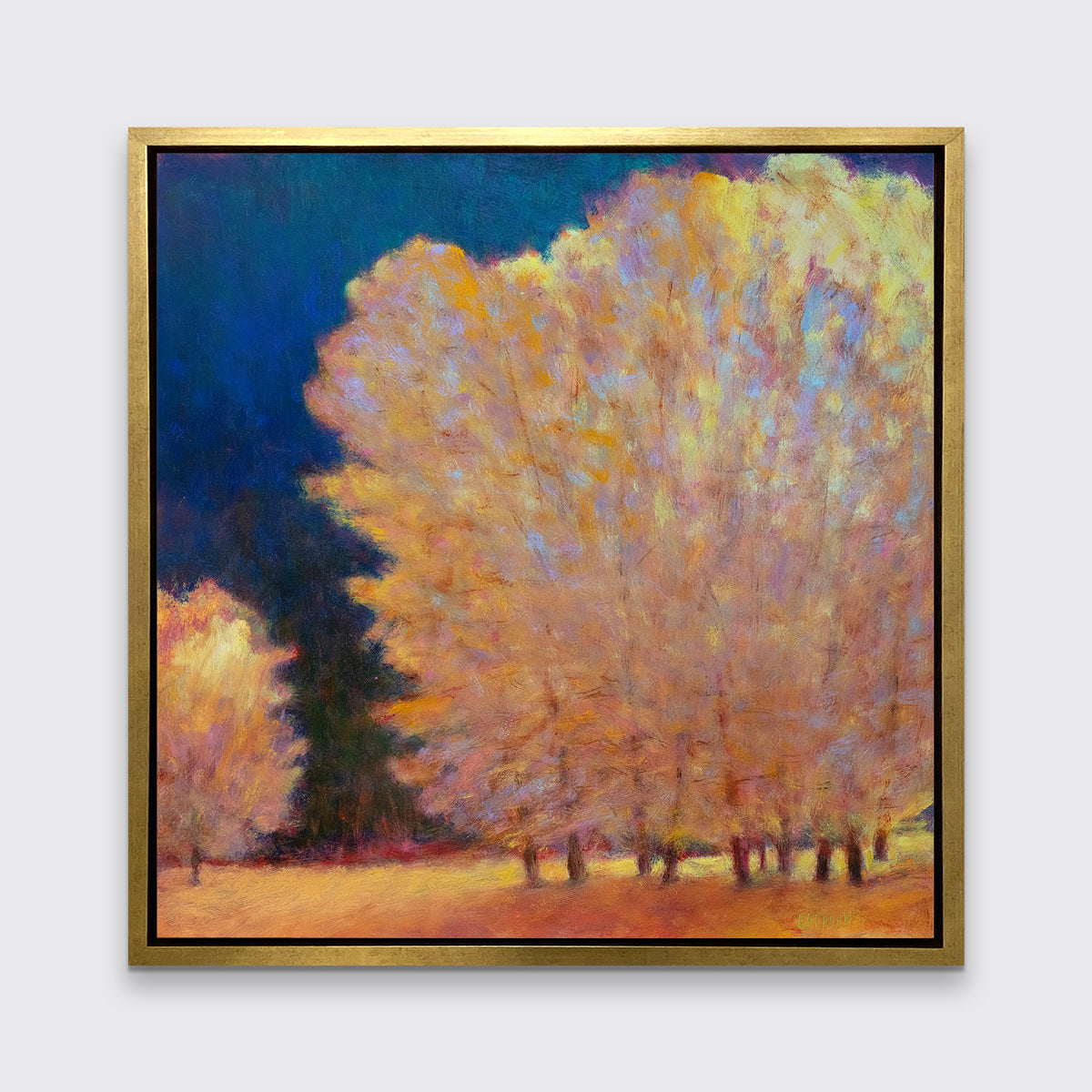 At the Light's Edge - Limited Edition Canvas Print
