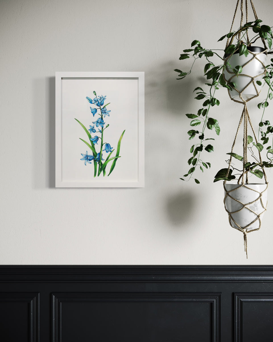 A blue and green botanical illustration framed in a white frame hangs on a white wall next to some hanging plants.