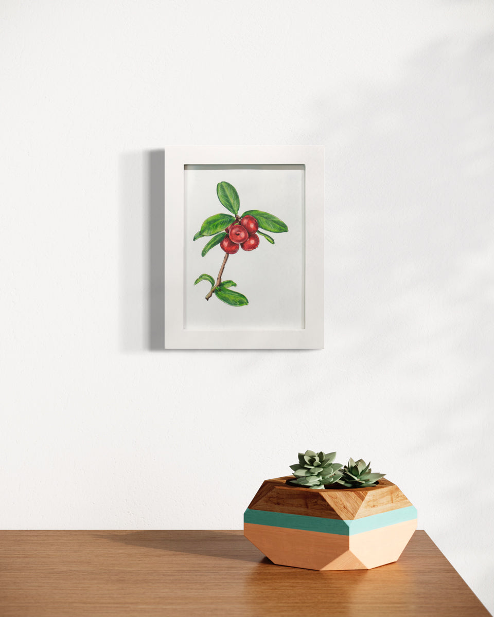 A framed illustration of cranberries hangs on a white wall above a wooden tabletop surface on which rests a geometric planter holding succulents.