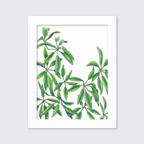 Earth Stars - Open Edition Paper Print