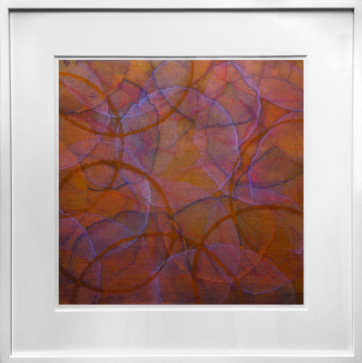 Fumitory - Original Painting *