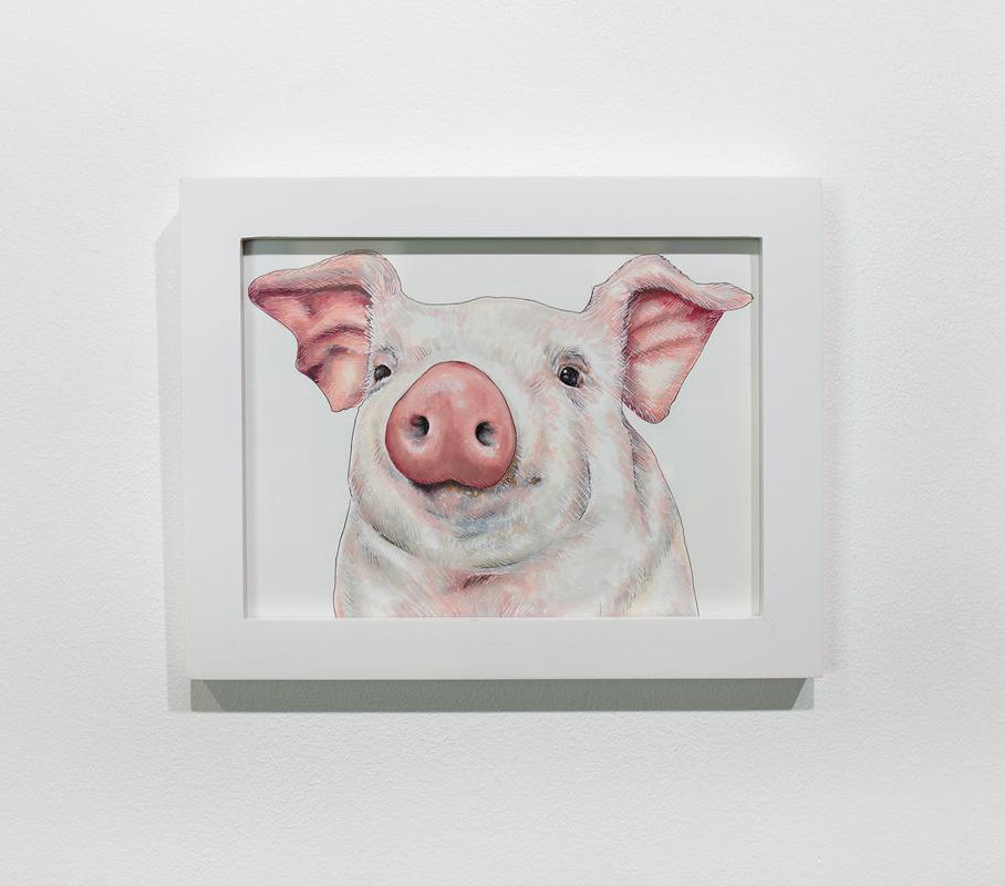 A framed illustration of a pig hangs on a white wall.