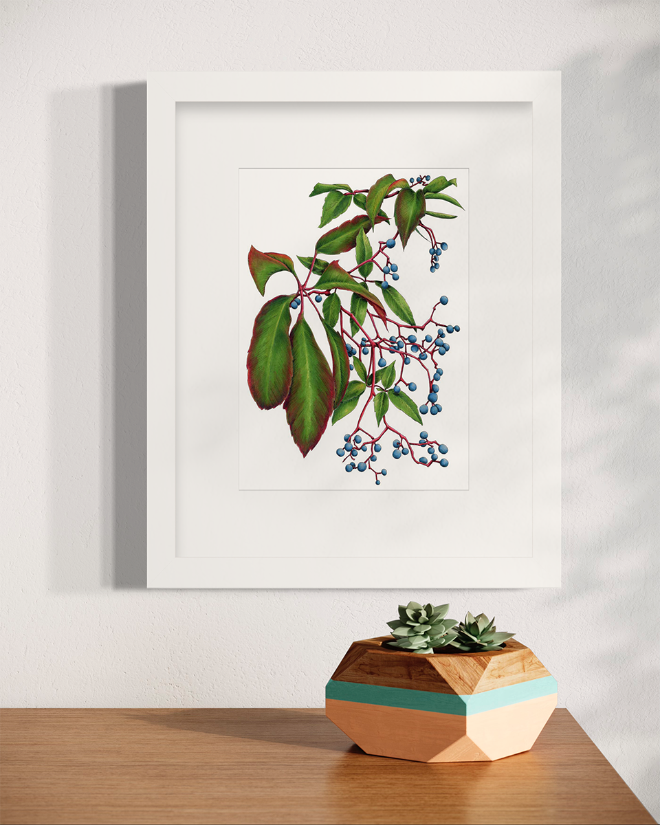 A green plant print with blue berries in a white frame with a mat hangs on a white wall above a wood surface with a small potted succulent arrangement.