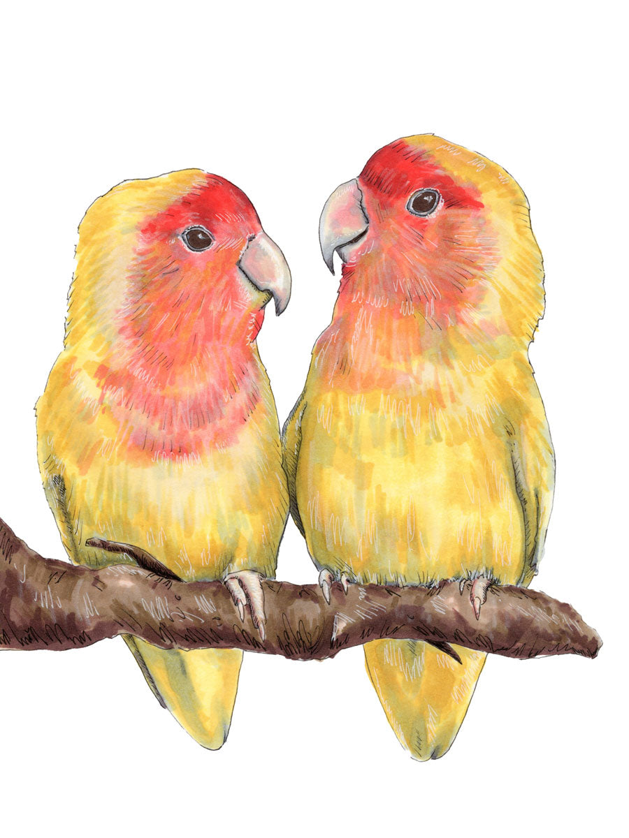 An illustration of two birds sitting on a branch together by Elizabeth Iadicicco.