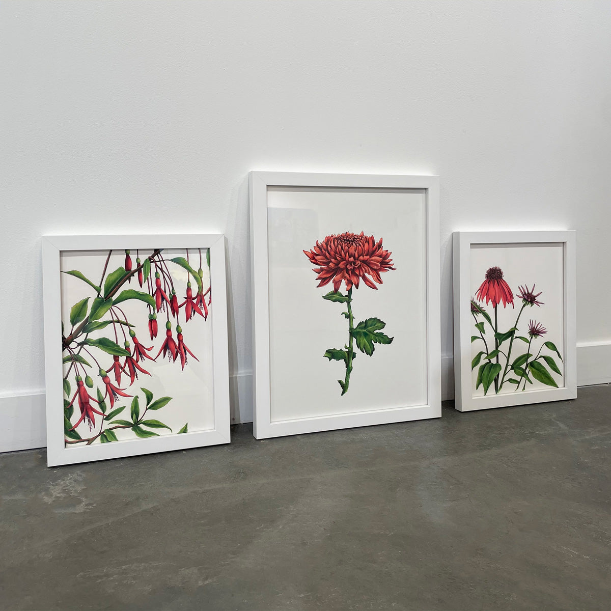 Three framed botanical illustrations rest on a grey concrete floor, leaning up against a white wall.
