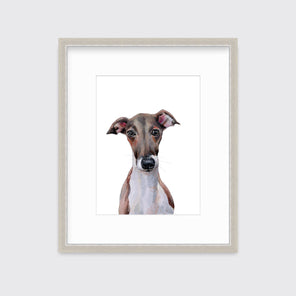 An illustration of an Italian Greyhound dog framed in a silver frame hangs on a white wall.