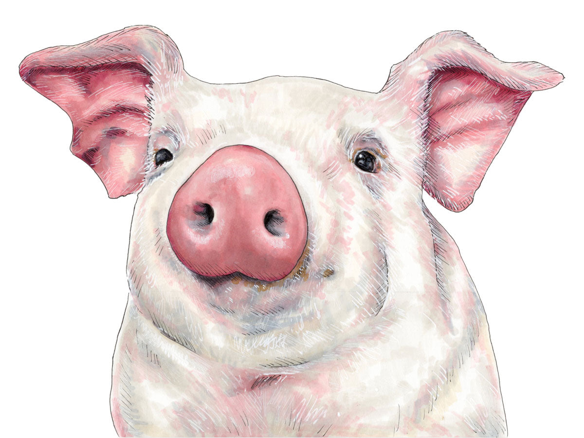 An illustration of a pig by Elizabeth Iadicicco.