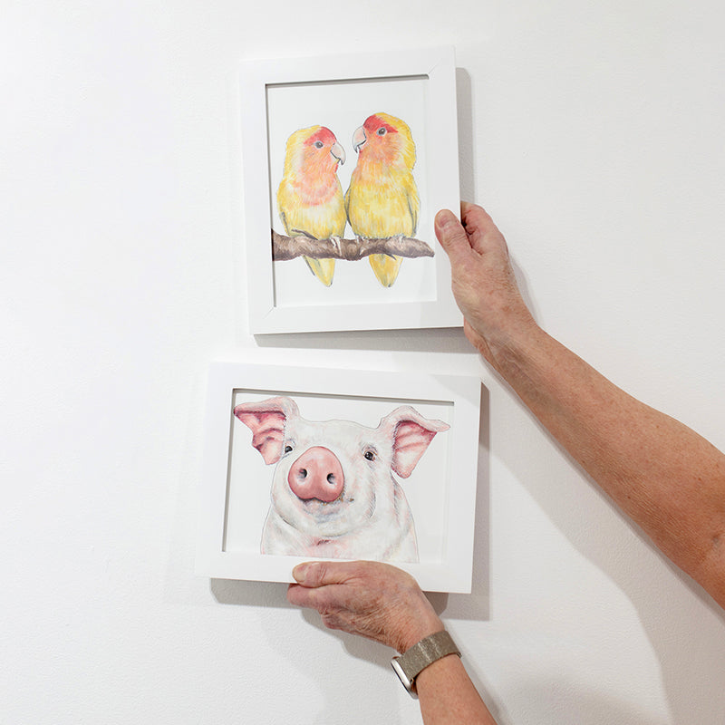 Birds - Original Drawing