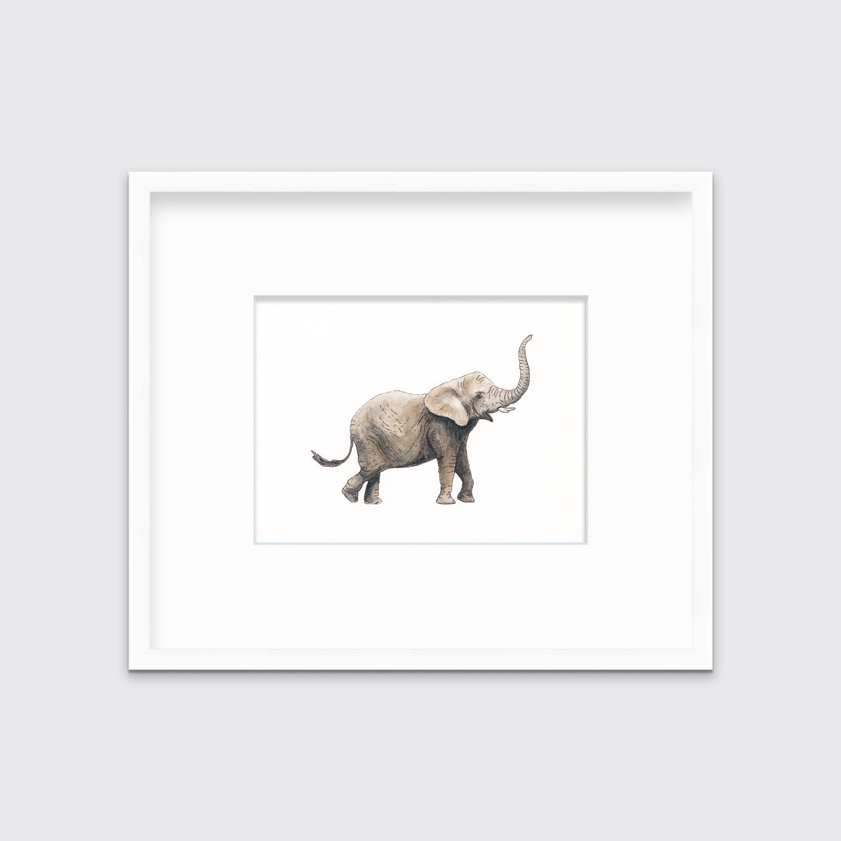 An elephant print in a white frame with a mat hangs on a white wall.