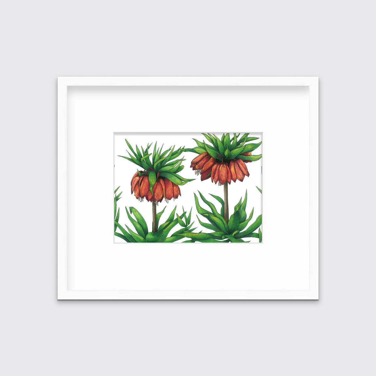 A green and red-orange floral print in a white frame with a mat hangs on a white wall.