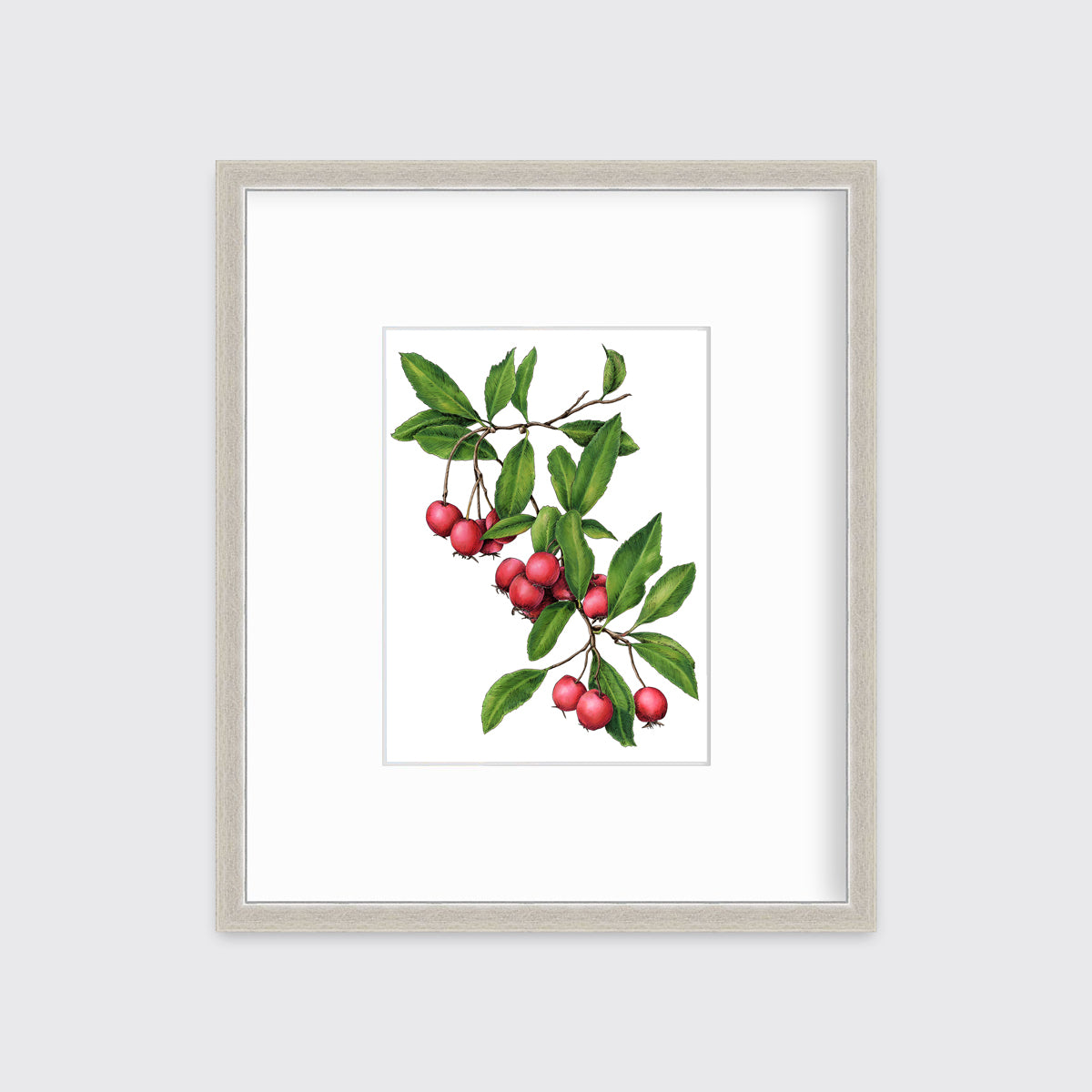 A red berry and green leaf print in a silver frame with a mat hangs on a white wall.