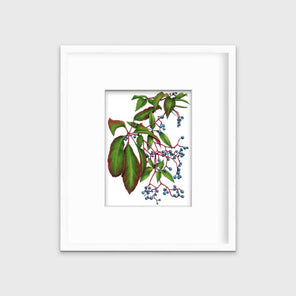 A green plant print with blue berries in a white frame with a mat hangs on a white wall.