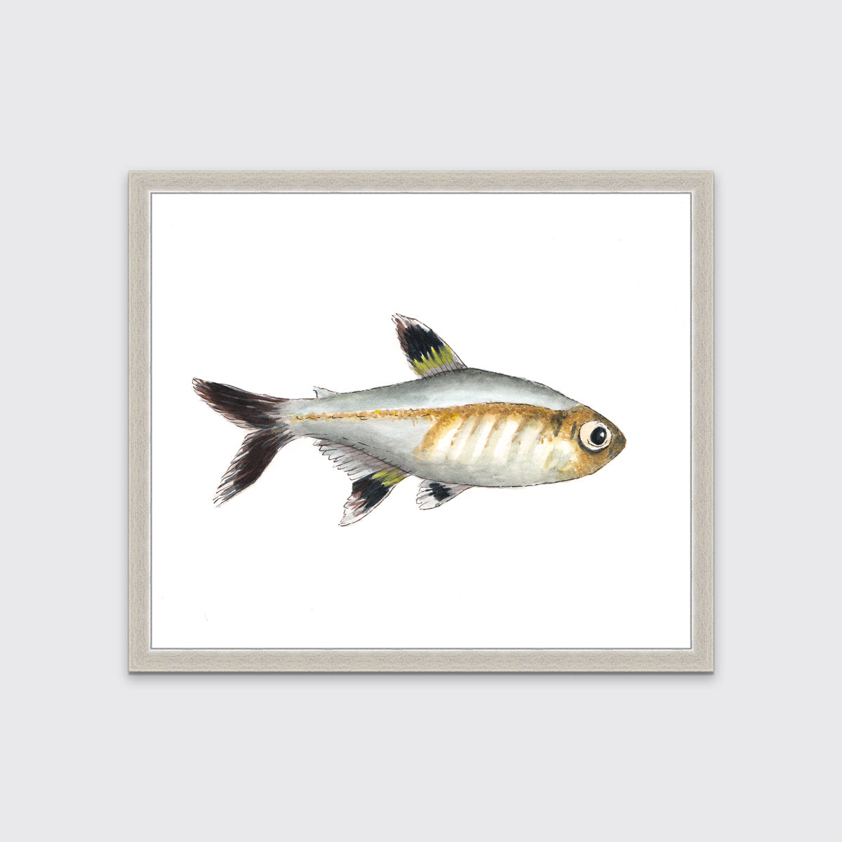 A black, silver and brown fish print in an unmatted silver frame hangs on a white wall.