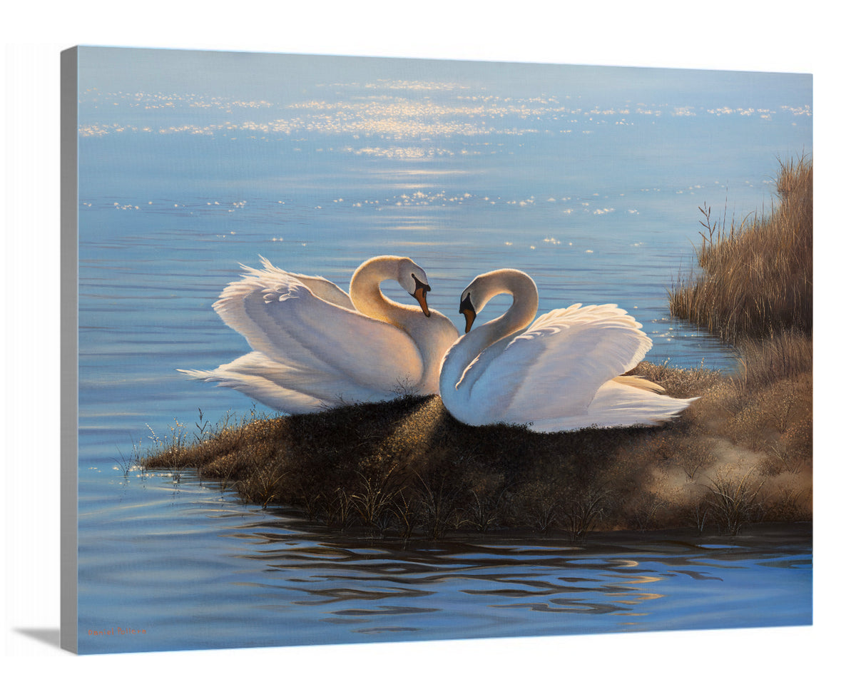 A side-angle view of a print of two swans on a bank of a body of water on canvas.