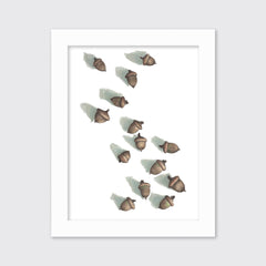 Acorns - Open Edition Paper Print