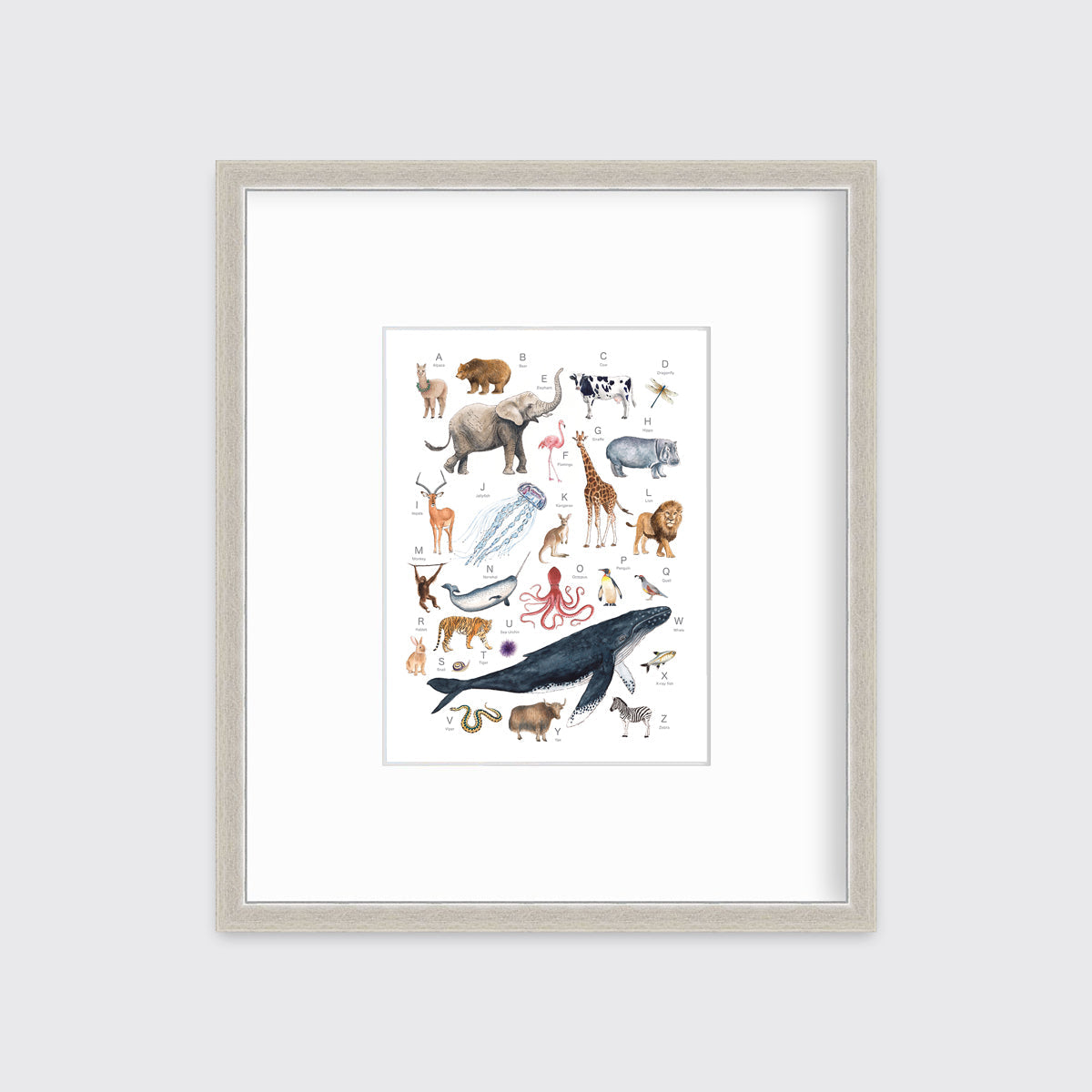 A multicolored print of different animals through the alphabet in a silver frame with a mat hangs on a white wall.