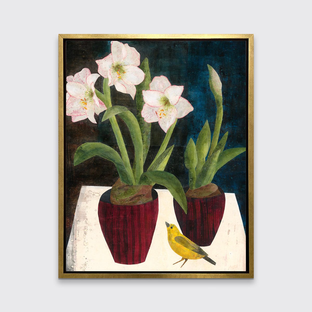 Amaryllis - Open Edition Canvas Print