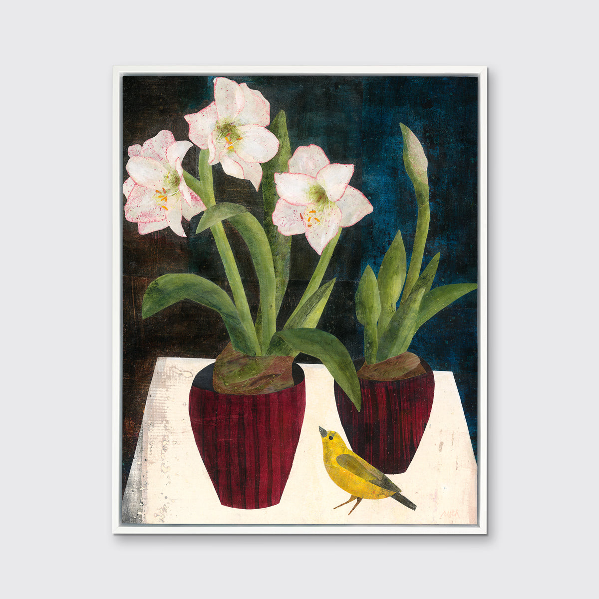 Amaryllis - Open Edition Canvas Print