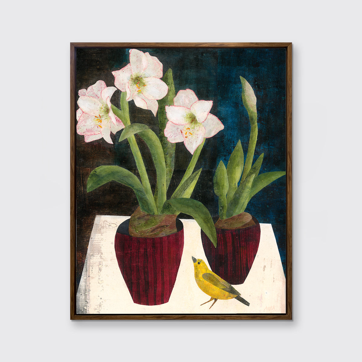 Amaryllis - Open Edition Canvas Print