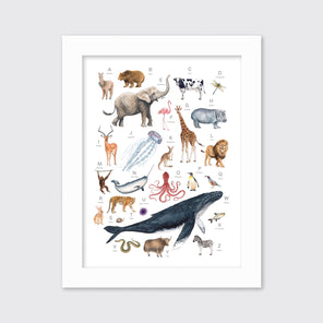 Animal Alphabet - Open Edition Paper Print