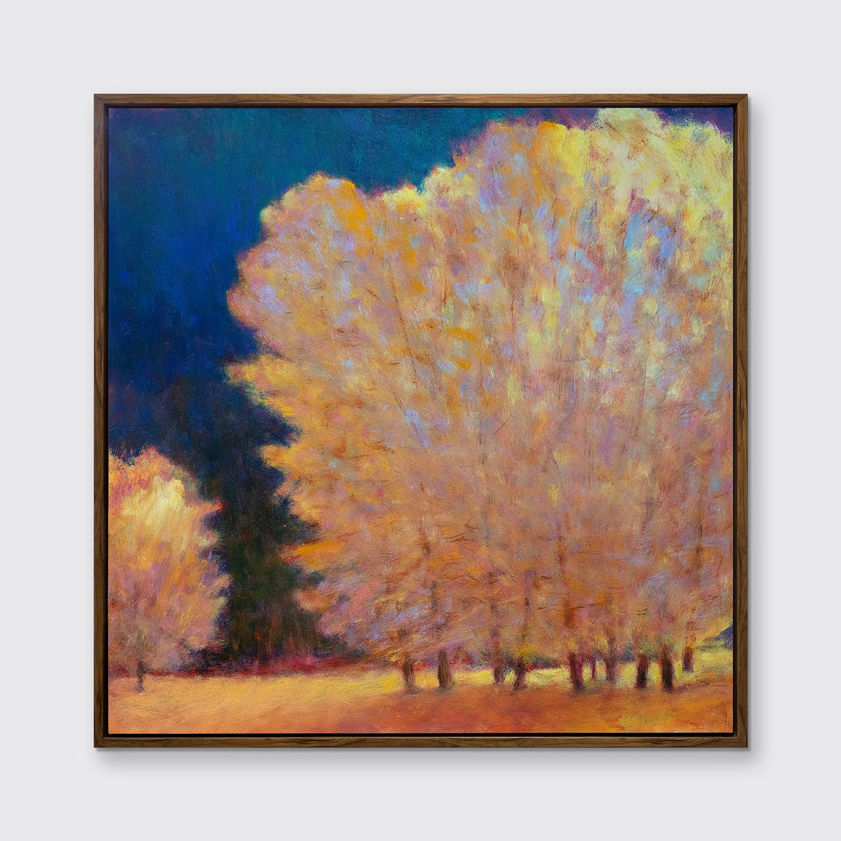 At the Light's Edge - Limited Edition Canvas Print