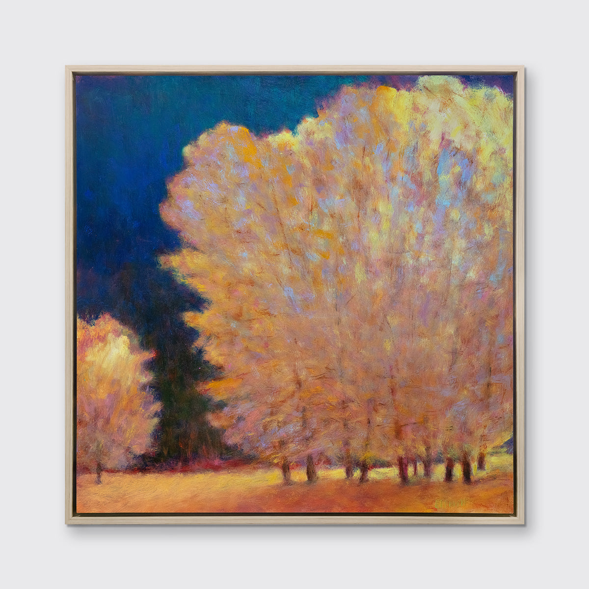 At the Light's Edge - Limited Edition Canvas Print
