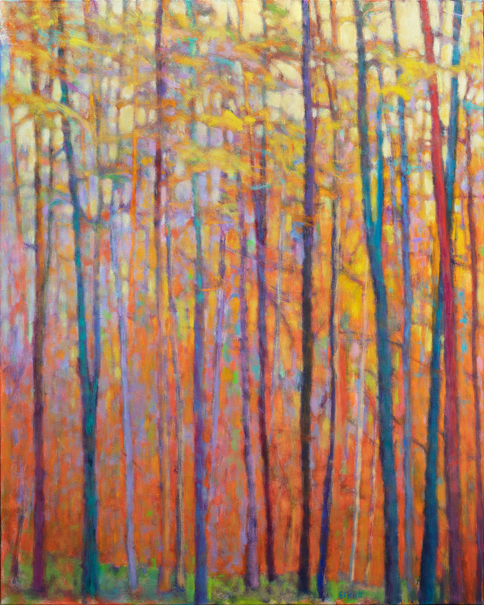 Autumn Coming Through - Limited Edition Canvas Print