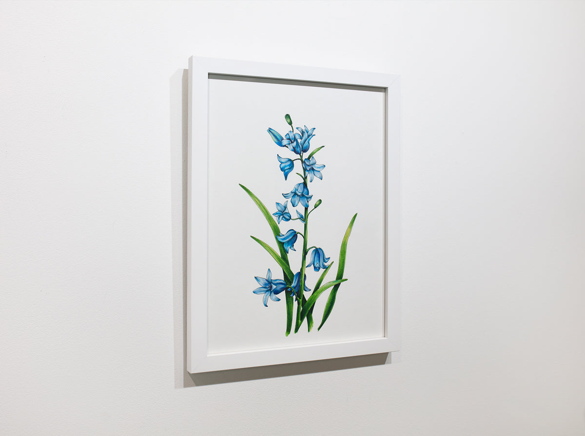 A blue and green botanical illustration hangs on a white wall.