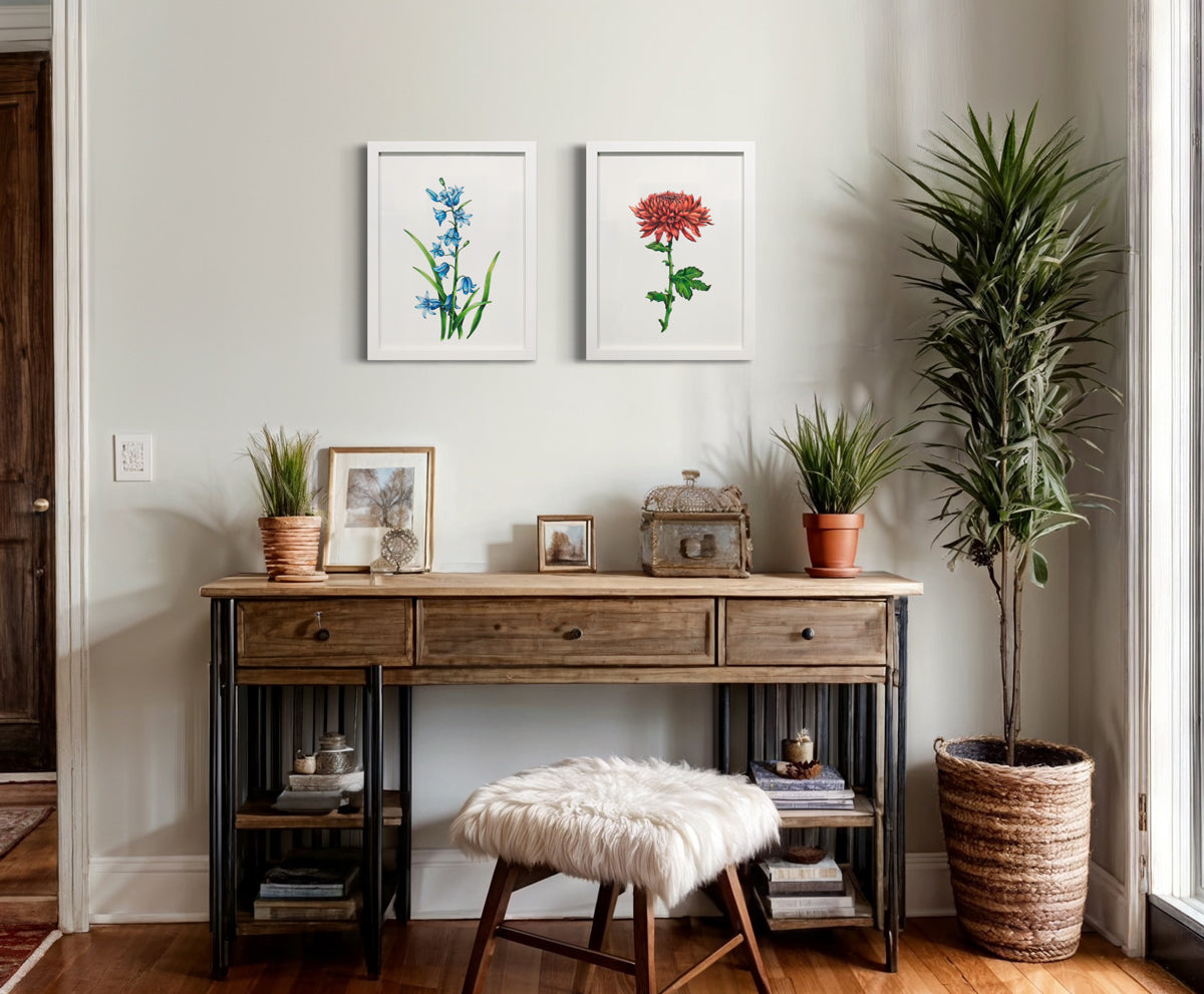Two botanical illustrations framed in white frames hang side by side on a white wall above a stained wood console desk with potted plants and decorative items.