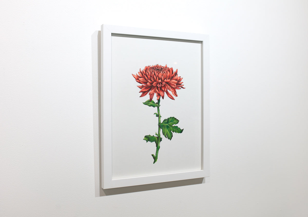 A framed botanical illustration hangs on a white wall.