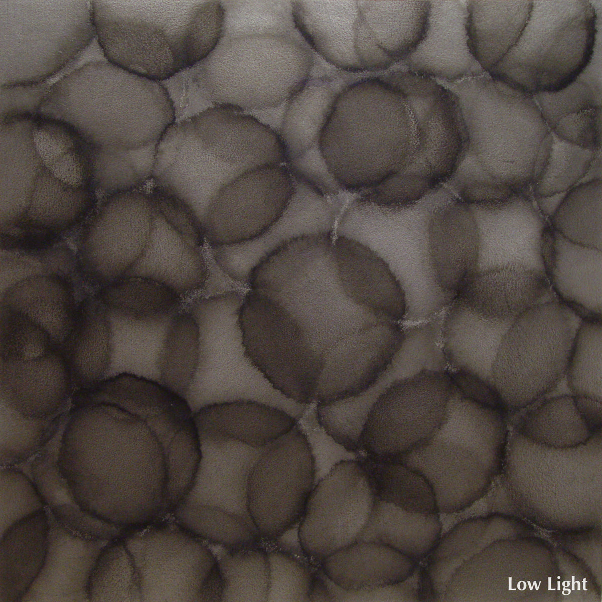 Cinquefoil - Original Painting *