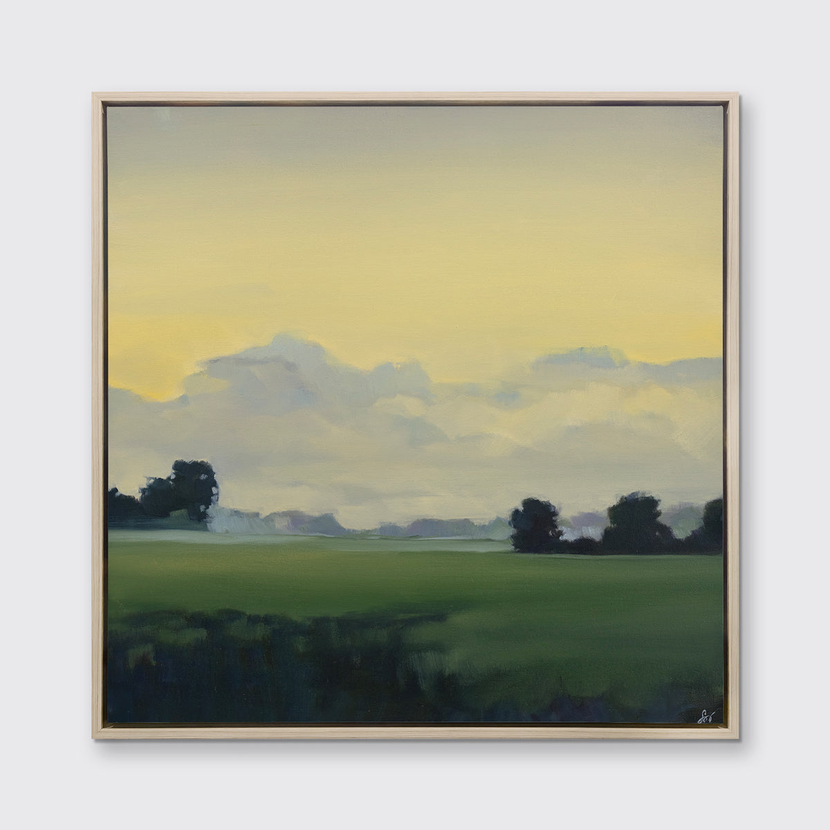 Clearing - Open Edition Canvas Print