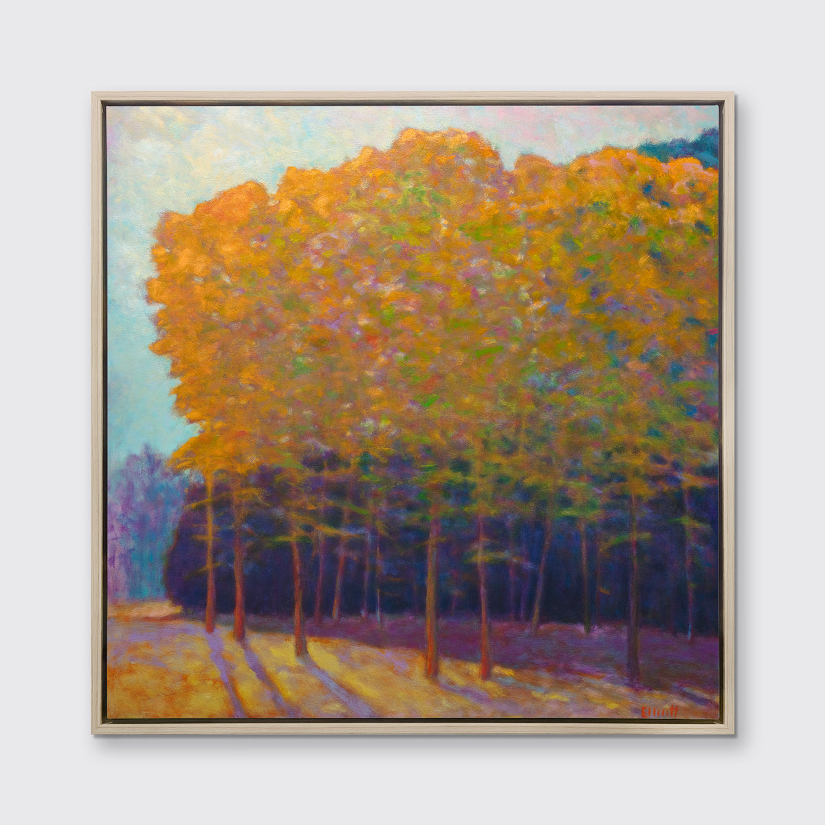 Color in Concert - Limited Edition Canvas Print