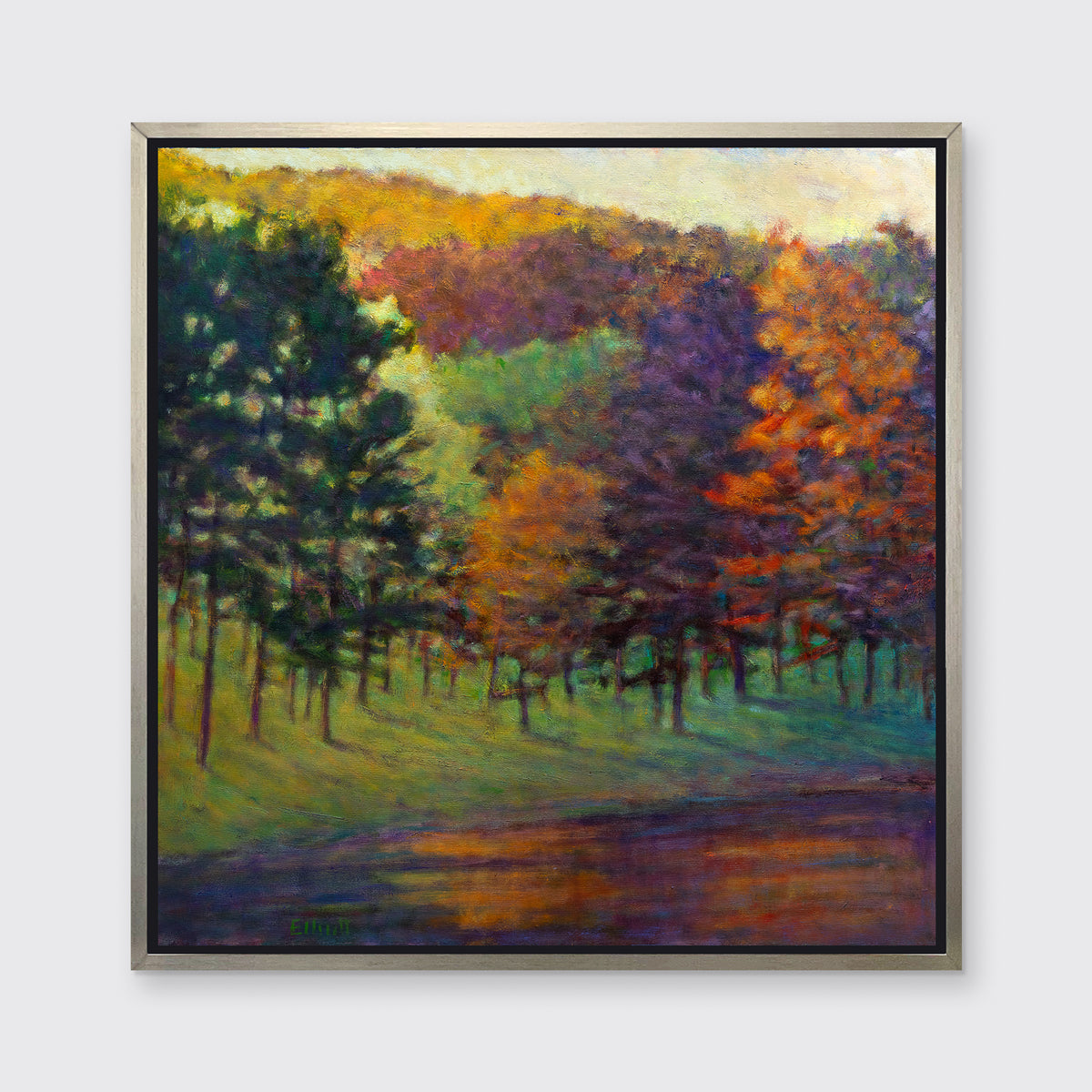 Color at the Lake - Open Edition Canvas Print
