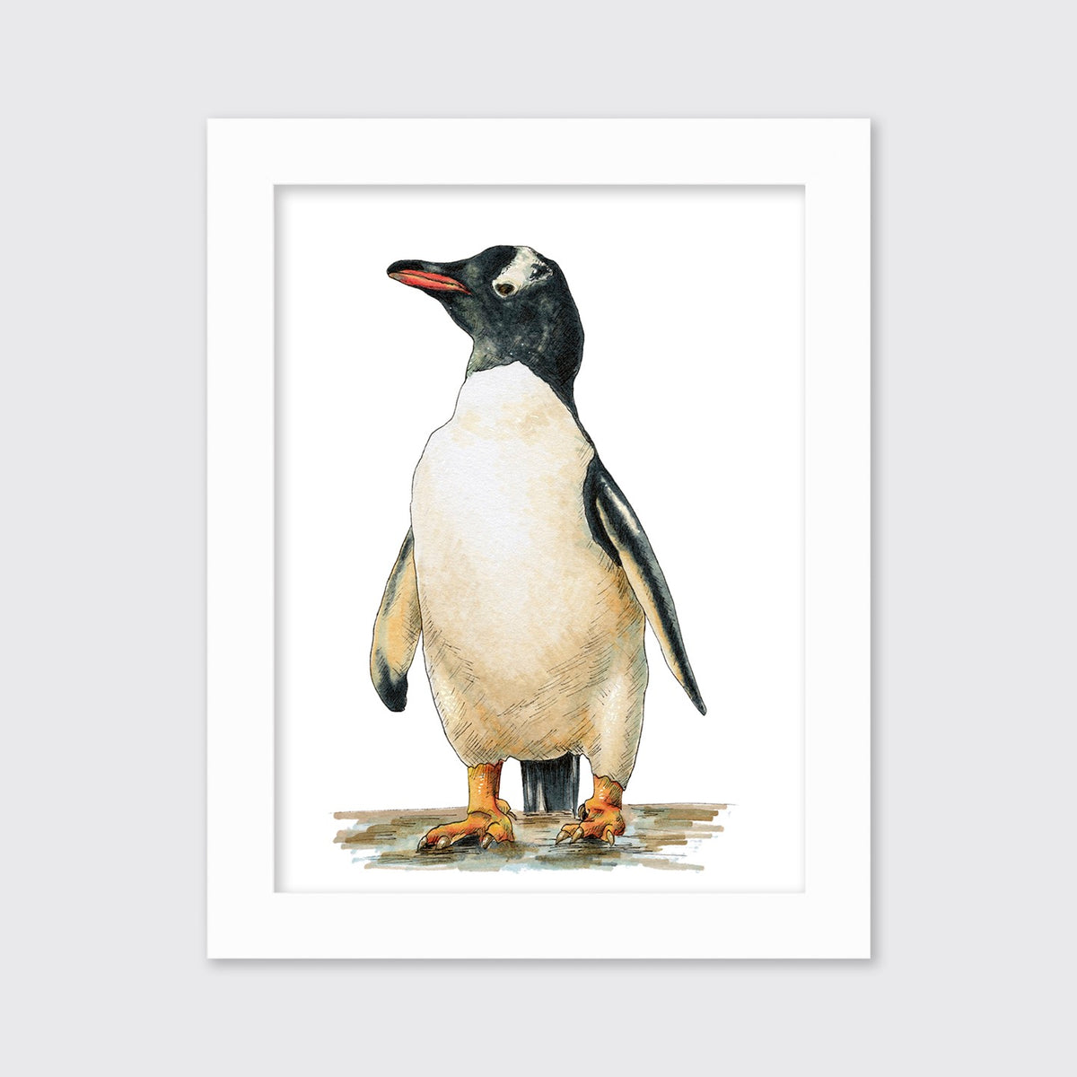 Cool - Open Edition Paper Print