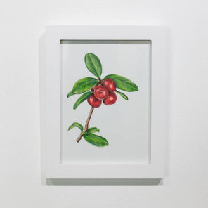 A framed botanical illustration hangs on a white wall. 