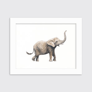 Elephant - Open Edition Paper Print