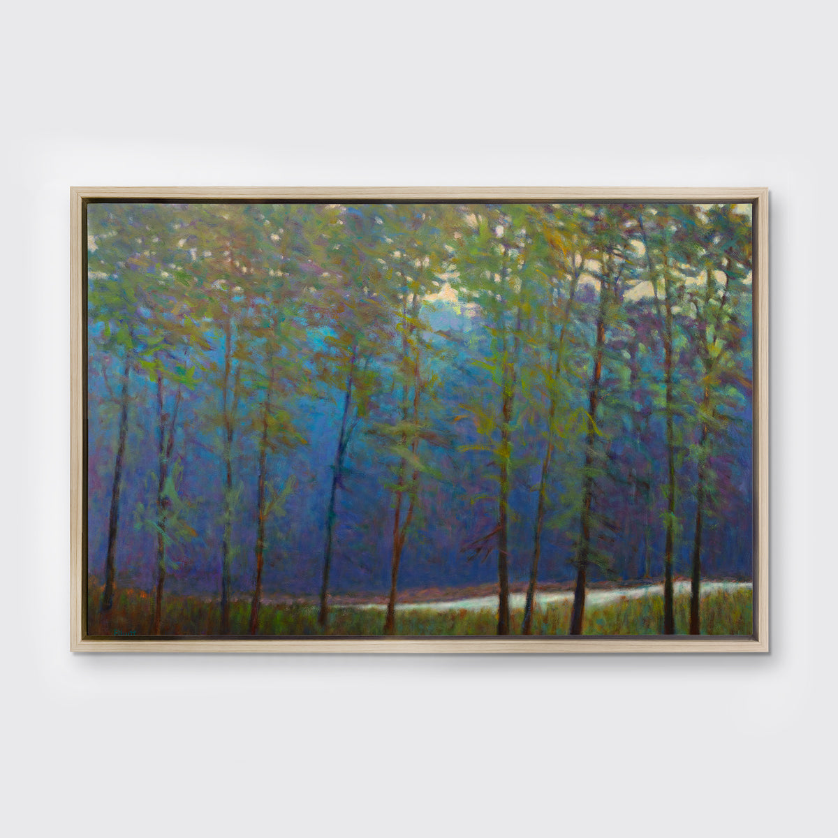 Green Canopy - Limited Edition Canvas Print