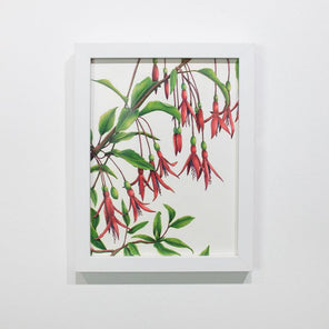 A red and green botanical illustration framed in a white frame hangs on a white wall. 