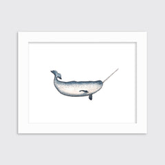 Nimble Narwhal - Open Edition Paper Print