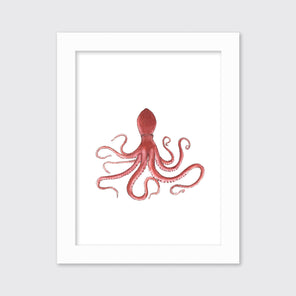 Octopus - Open Edition Paper Print