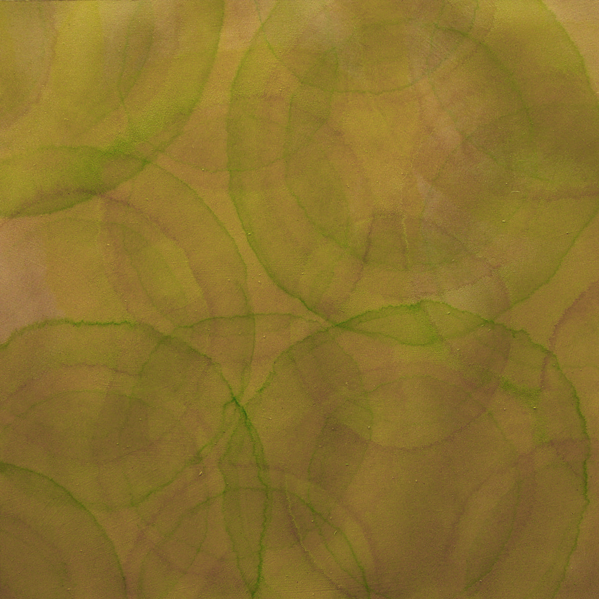 Parilla - Original Painting *