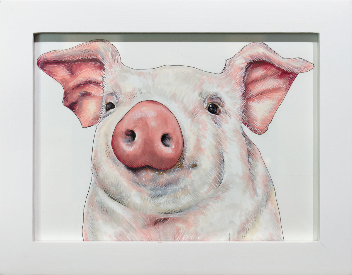 A framed illustration of a pig.