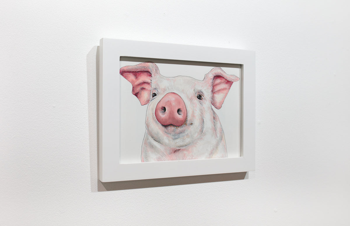 A framed illustration of a pig hangs on a white wall.