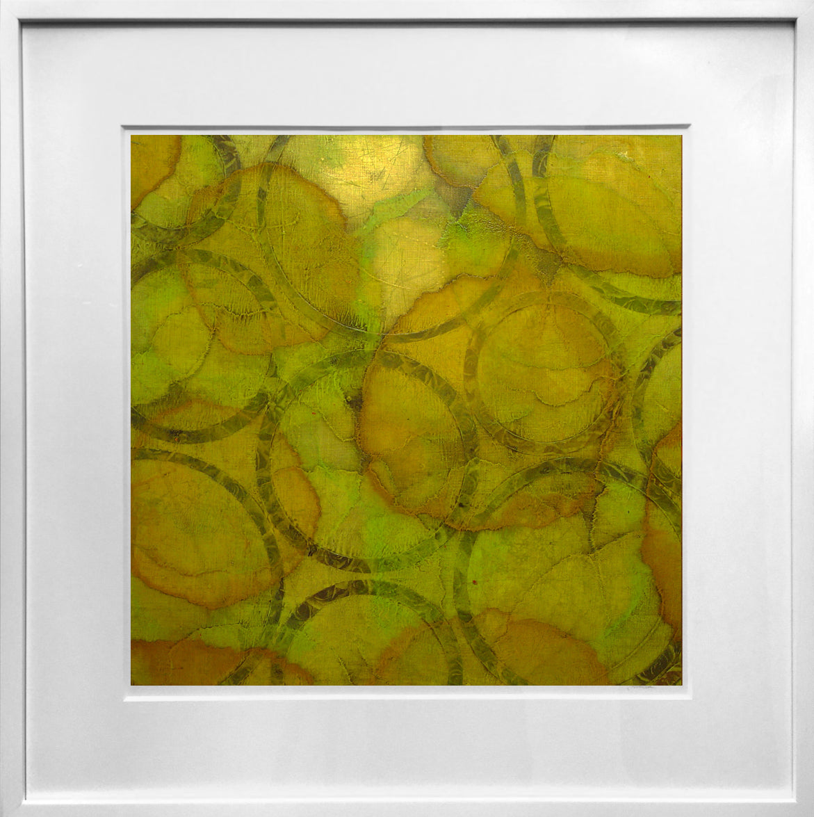 Thapsia - Original Painting *