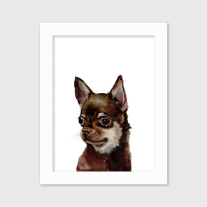 The Chihuahua - Open Edition Paper Print