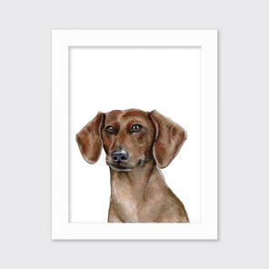The Dachshund - Open Edition Paper Print